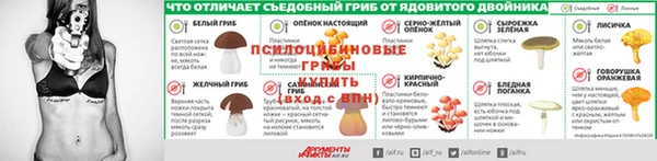 прущие крисы Алексеевка