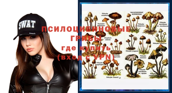 соль курить ск Алзамай