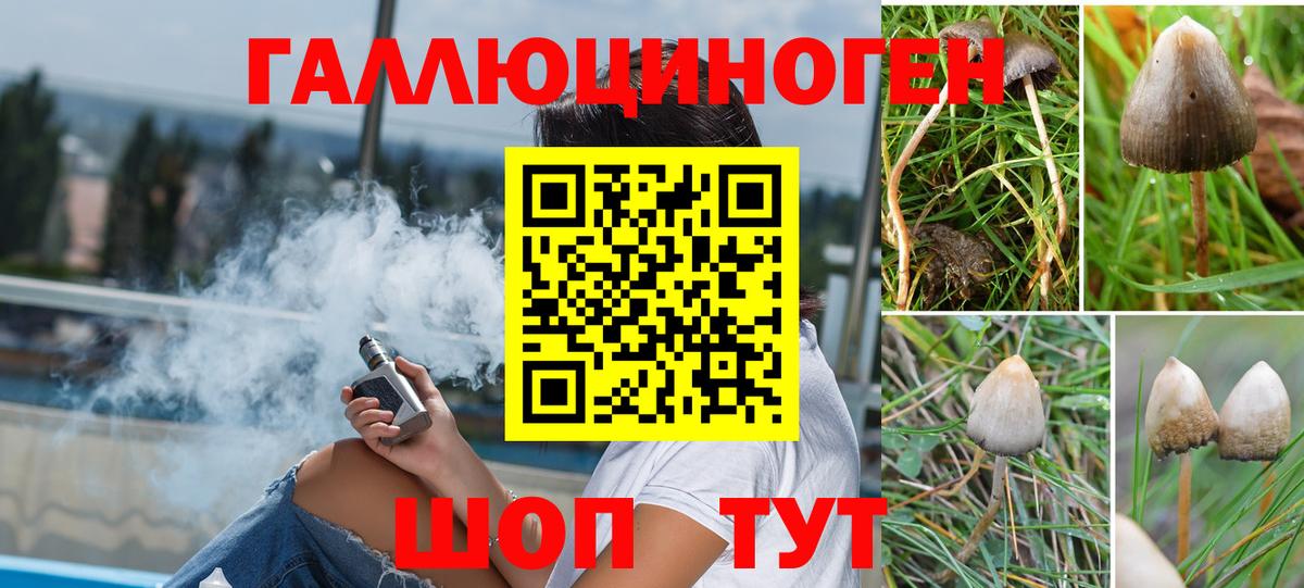 Балабаново  цены   Вход с VPN  Галлюциногенные грибы Psilocybine cubensis 