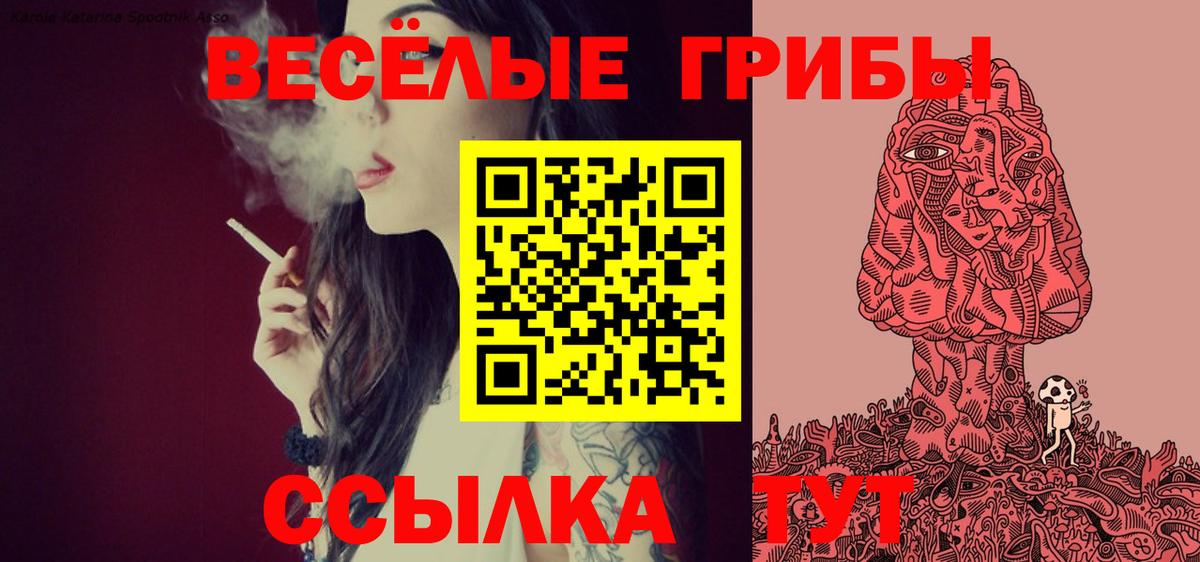Псилоцибиновые грибы Magic Shrooms Балабаново